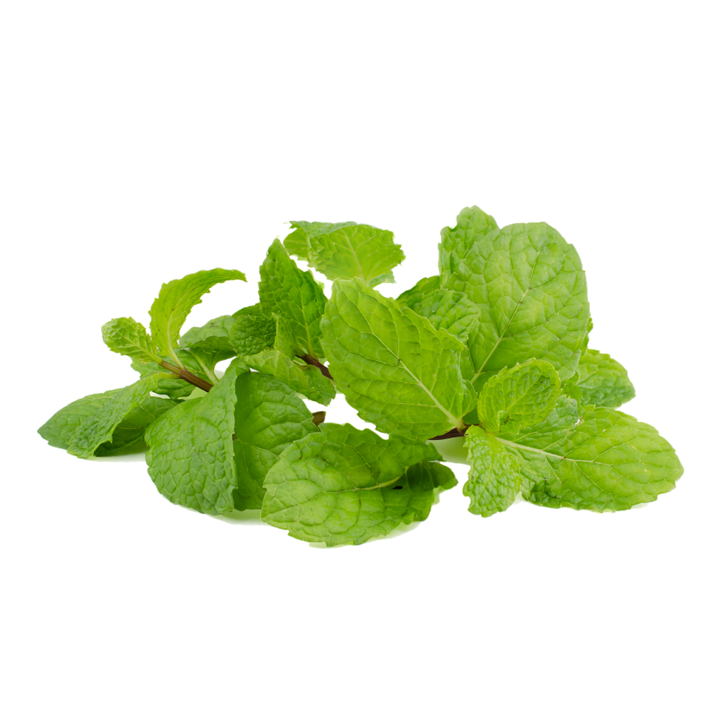 mint, leaf, peppermint-5012178.jpg